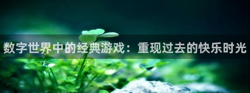 星际网址是多少?