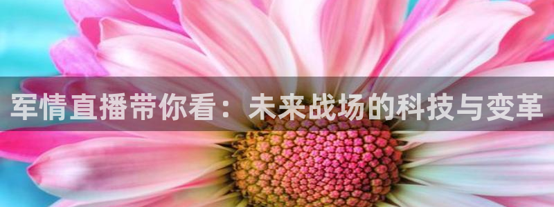 河豚搞笑：军情直播带你看：未来战场的科技与变革